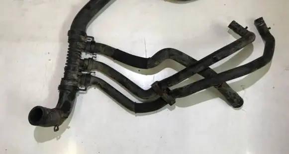 Renault Megane II Engine coolant pipe/hose 800331615