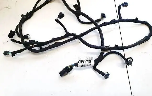Other wiring loom
