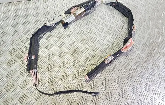 Roof airbag