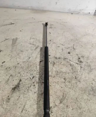 Tailgate/trunk strut/damper
