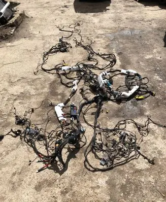 BMW X1 U11 Panel wiring 66405910
