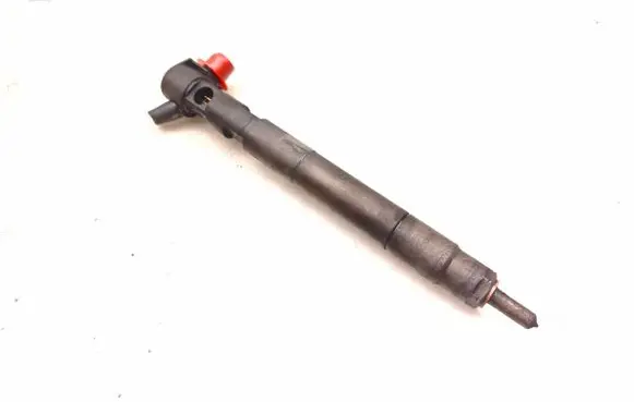 Chevrolet Captiva Fuel injector 28489548