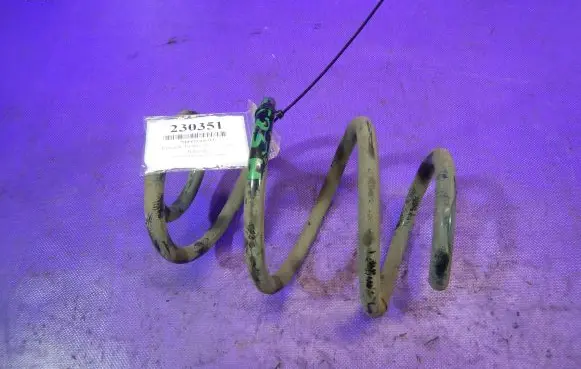 Renault Twingo II Rear coil spring