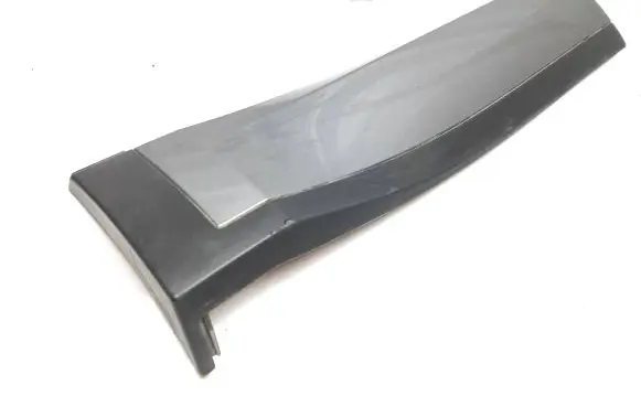 Rear door trim (molding)