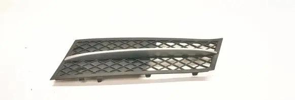 Front bumper lower grill