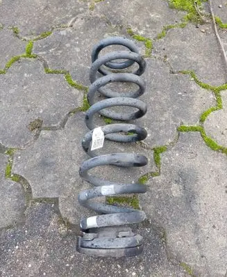 Rear coil spring