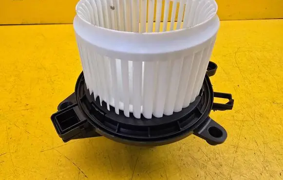 Peugeot 408 P54 Fan set MS2825007481