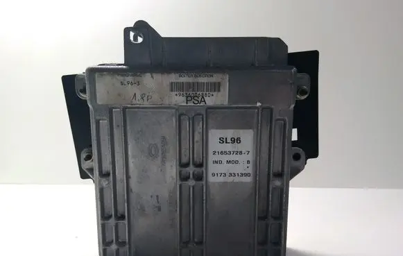 Peugeot 406 Engine control unit/module 216537287 9173331390