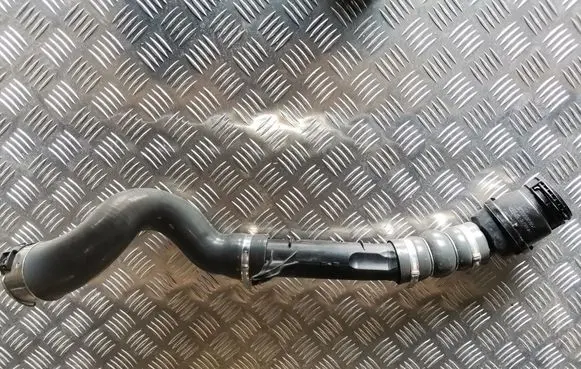 Renault Kangoo II Intercooler hose/pipe 1085605S02
