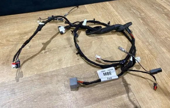 Front door wiring loom