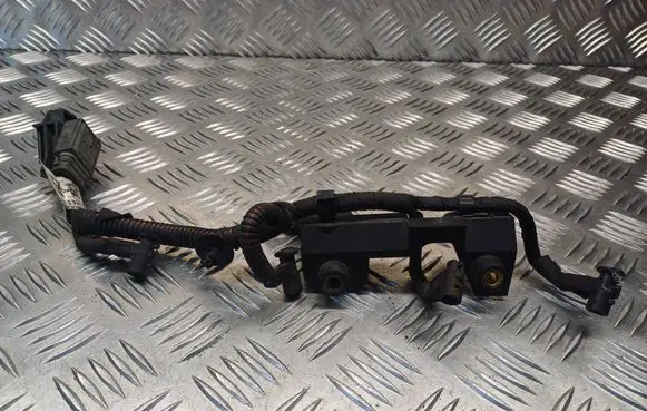 Citroen Berlingo Glow plug wires 9653805580