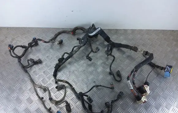 Citroen Berlingo Engine installation wiring loom 9803041780