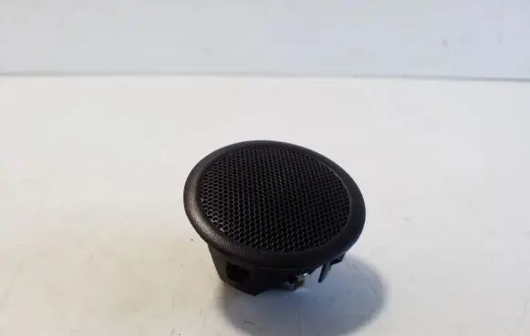 Front door high frequency speaker