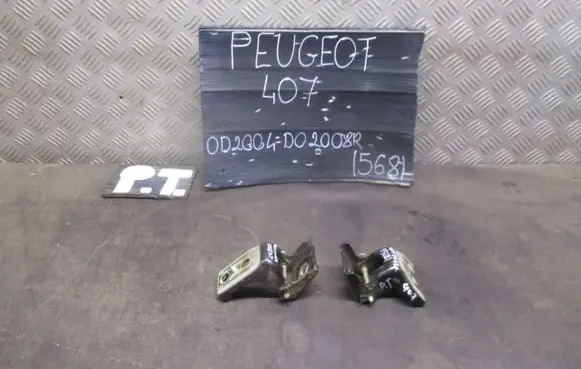 Peugeot 407 Loading door hinge set 