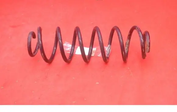 Rear coil spring