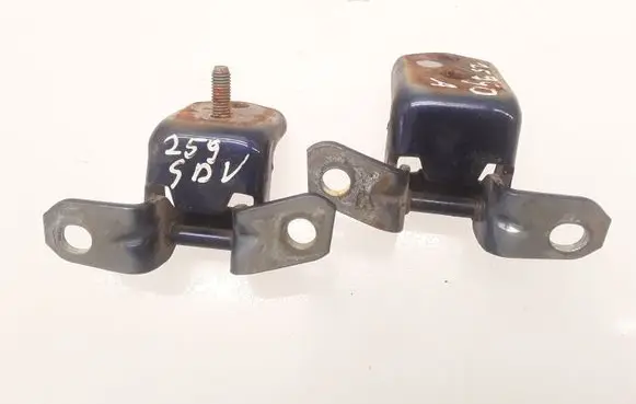 Rear door hinge set