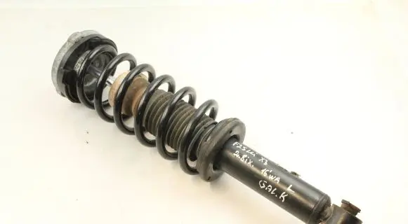BMW X3 F25 Rear shock absorber with coil spring 6796317 33526796317 6787203