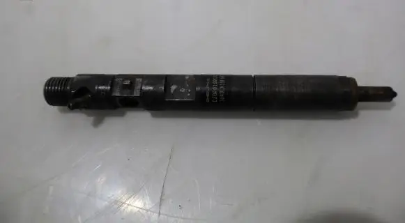 Renault Megane II Fuel injector