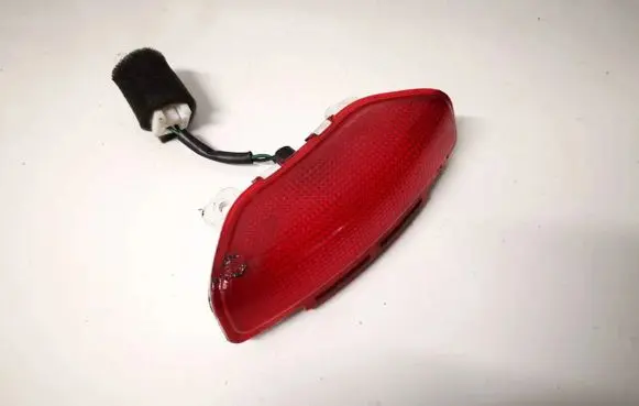 Hyundai Santa Fe Rear door interior light 