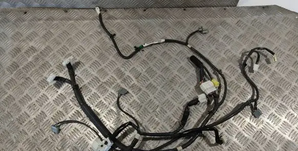 Toyota Land Cruiser (J120) Other wiring loom ND2F5PN0407 C291X070