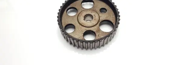 Volkswagen Sharan Fuel pump gear (pulley) 028130111A