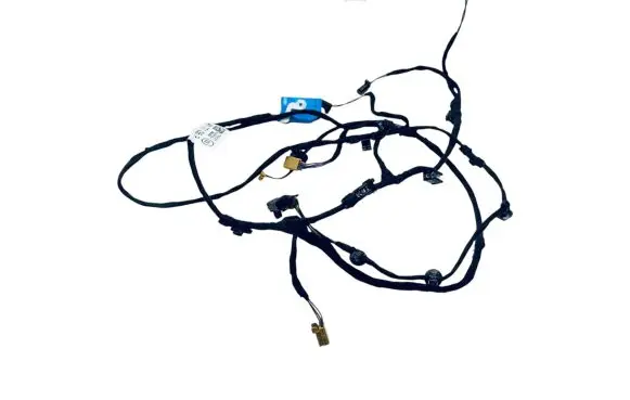 Front door wiring loom