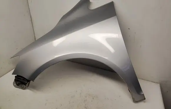 Volkswagen Golf Plus Fender