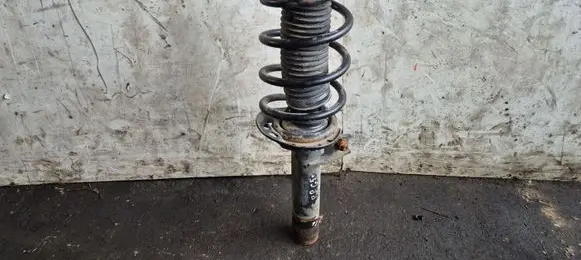 Volkswagen Golf Plus Front shock absorber with coil spring 317572