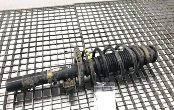 Skoda Roomster (5J) Front shock absorber/damper 6Q0413031BL