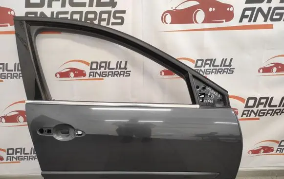 Renault Laguna III Front door TE866