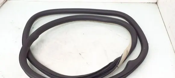 Citroen C5 Rubber seal rear door 