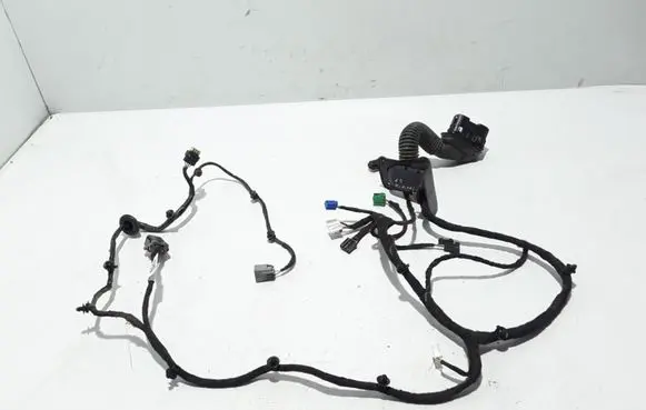 Chrysler Pacifica Other wiring loom 68446210AA
