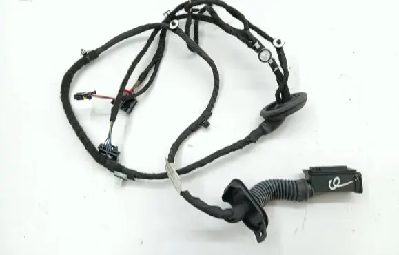 Rear door wiring loom