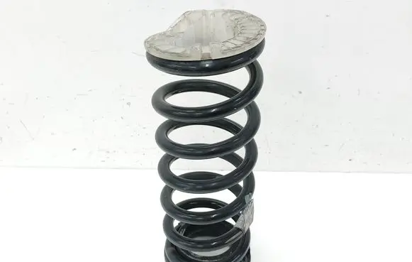 Rear coil spring
