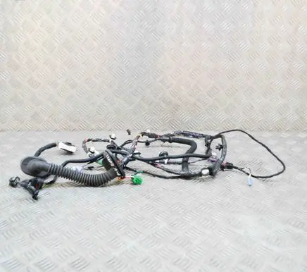 Tesla Model 3 Front door wiring loom 306795702C