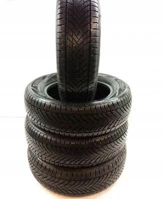 Ford Fiesta R14 winter tire 
