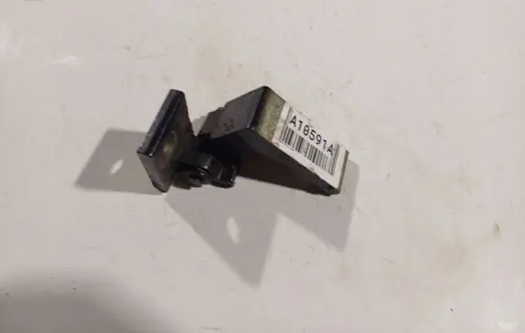 Rear door lower hinge
