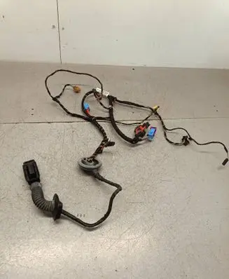 Skoda Octavia Mk3 (5E) Front door wiring loom 69G3803 51449001 5E2971
