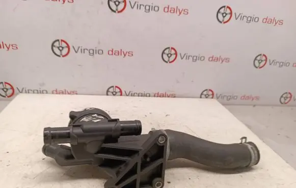 Thermostat/thermostat housing