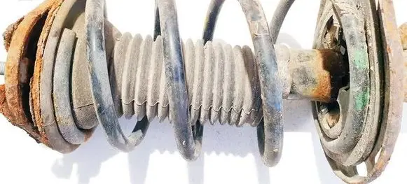 Front coil spring
