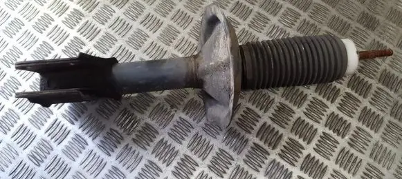 Fiat Doblo Front shock absorber/damper 51755248