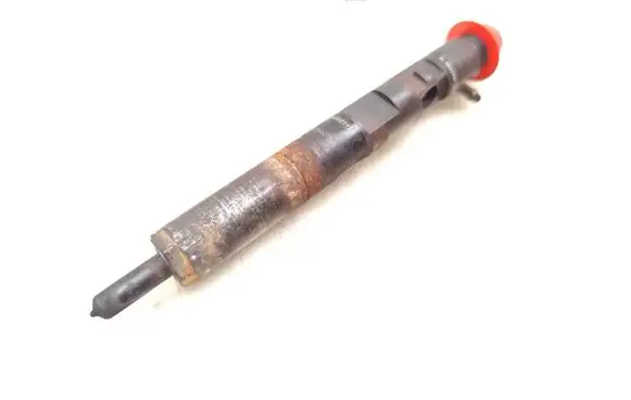 Nissan NV200 Fuel injector 166000897R