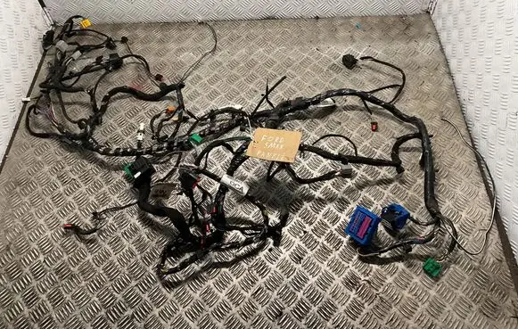 Ford S-MAX Panel wiring 
