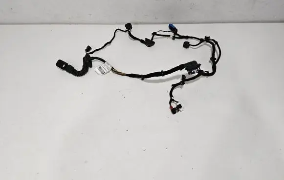 Alfa Romeo Giulia Front door wiring loom 00505458990 505458990
