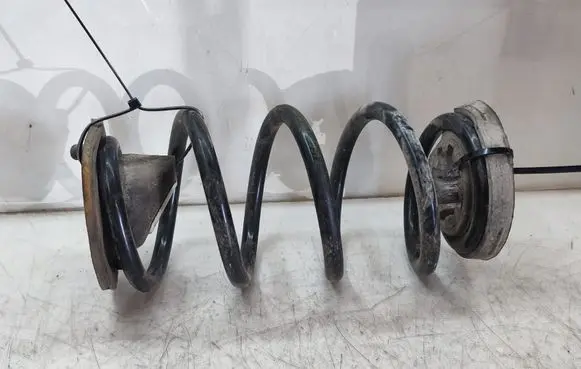 Rear coil spring