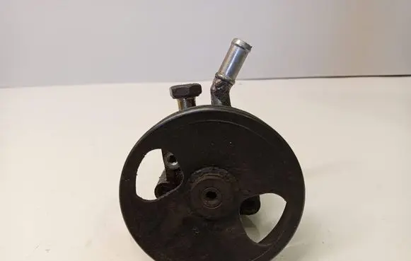 Nissan Almera Tino Power steering pump 49110BU001 7612955118