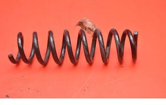 Rear coil spring