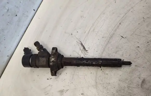 Citroen Jumpy Fuel injector