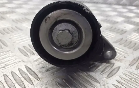 Renault Thalia II Alternator belt tensioner pulley 