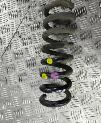 Rear coil spring